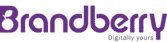 Leading Digital Marketing Experts In Kannur| Brandberry